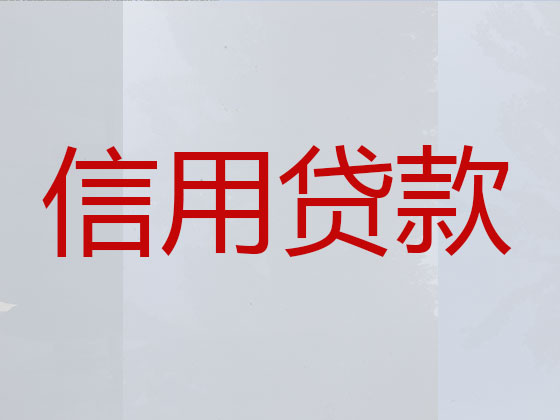 大连贷款公司